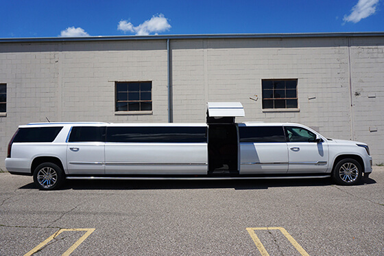 perfect limousine